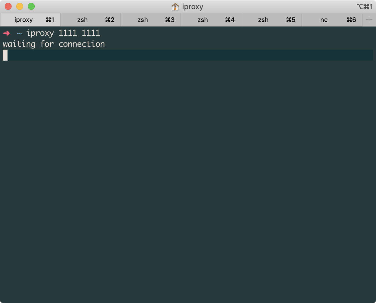 iOS lldb + debugserver